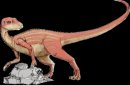 animali/dinosauro/abrictosaurus.gif