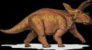 animali/dinosauro/anchiceratops.gif