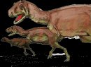 animali/dinosauro/aucasaurus.gif