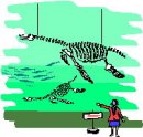 animali/dinosauro/clipart_dinosauri_112.jpg