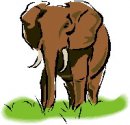 animali/elefante/clipart_elefanti-03.jpg