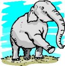 animali/elefante/clipart_elefanti-06.jpg