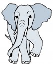 animali/elefante/clipart_elefanti-103.jpg