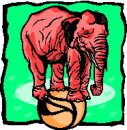 animali/elefante/clipart_elefanti-12.jpg