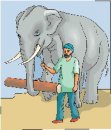 animali/elefante/clipart_elefanti-124.jpg