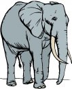 animali/elefante/clipart_elefanti-19.jpg