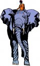 animali/elefante/clipart_elefanti-22.jpg