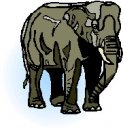 animali/elefante/clipart_elefanti-46.jpg