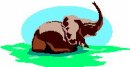 animali/elefante/clipart_elefanti-48.jpg