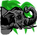 animali/elefante/clipart_elefanti-49.jpg