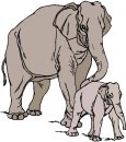 animali/elefante/clipart_elefanti-50.jpg