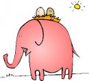 animali/elefante/clipart_elefanti-66.jpg