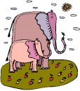 animali/elefante/clipart_elefanti-68.jpg