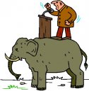 animali/elefante/clipart_elefanti-81.jpg