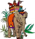 animali/elefante/clipart_elefanti-86.jpg