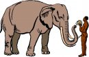 animali/elefante/clipart_elefanti-91.jpg