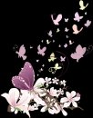 animali/farfalla/Butterfly_034.png