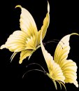 animali/farfalla/Butterfly_035.png