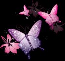 animali/farfalla/Butterfly_036.png