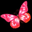 animali/farfalla/butterfly-pink-128x128.png