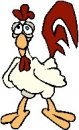 animali/gallo_galline/gallo_galline_16.jpg