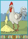 animali/gallo_galline/gallo_galline_70.jpg