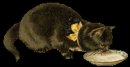 animali/gatto/gatti_91.gif