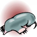 animali/insettivori/animali_insettivori_clipart00.jpg