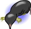 animali/insettivori/animali_insettivori_clipart04.jpg