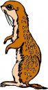 animali/insettivori/animali_insettivori_clipart07.jpg