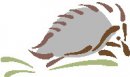 animali/insettivori/animali_insettivori_clipart12.jpg