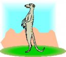 animali/insettivori/animali_insettivori_clipart17.jpg