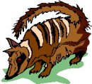 animali/insettivori/animali_insettivori_clipart18.jpg