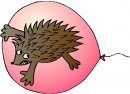 animali/insettivori/animali_insettivori_clipart25.jpg