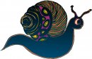 animali/mollusco/molluschi_18.jpg