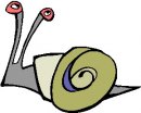 animali/mollusco/molluschi_27.jpg