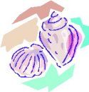 animali/mollusco/molluschi_55.jpg