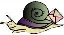 animali/mollusco/molluschi_68.jpg