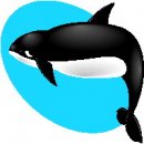 animali/orca/mammiferi_acquatici_00.jpg
