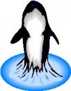 animali/orca/mammiferi_acquatici_115.jpg