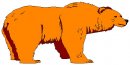 animali/orso/orso_069.jpg