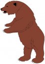 animali/orso/orso_070.jpg