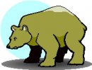 animali/orso/orso_080.jpg