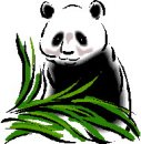 animali/panda/panda_58.jpg