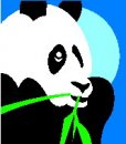 animali/panda/panda_59.jpg