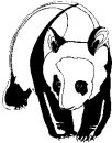 animali/panda/panda_63.jpg