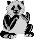 animali/panda/panda_64.jpg