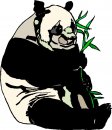 animali/panda/panda_65.jpg