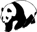 animali/panda/panda_66.jpg
