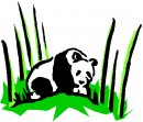 animali/panda/panda_72.jpg